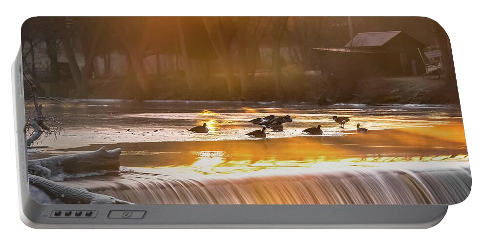 Geese Portable Battery Charger featuring the photograph Geese at Rest by James Meyer