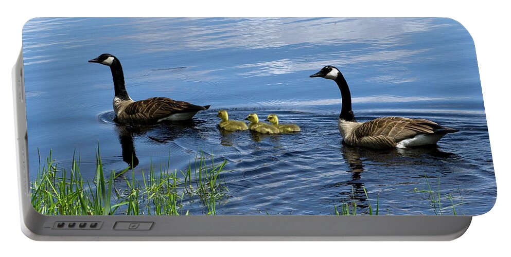 Geese Portable Battery Charger featuring the photograph Geese by Jeff Ross