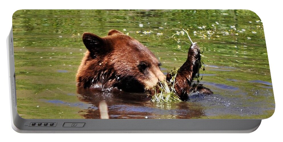 Black Bear Checking Out The Weeds In A Pond On The Bison Wildlife Refuge In Moise Mt Portable Battery Charger featuring the photograph Gettin' into the Weeds by Mike Helland