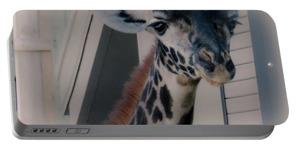 Wildlife Portable Battery Charger featuring the photograph Giraffe by William Norton