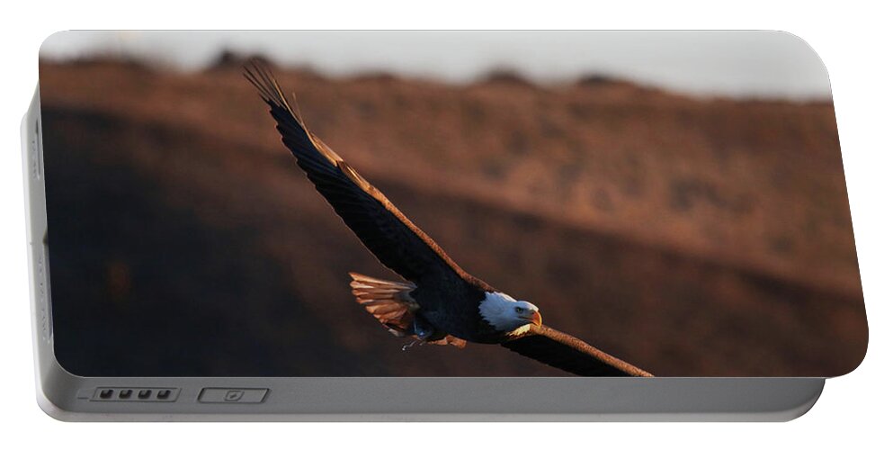 Eagle Portable Battery Charger featuring the photograph Gliding In by Brook Burling