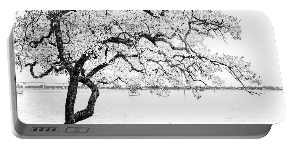 Nature Portable Battery Charger featuring the digital art Gnarled in Black and White by Mariarosa Rockefeller