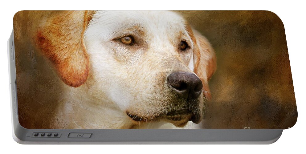 Dog Portable Battery Charger featuring the photograph Golden Boy by Eleanor Abramson