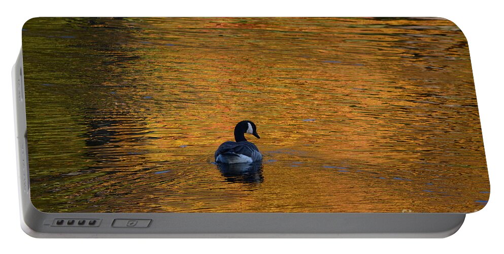 Geese Portable Battery Charger featuring the photograph Goose Swimming In Autumn Colors by Dani McEvoy