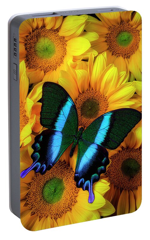 Stunning Blue Green Portable Battery Charger featuring the photograph Gorgeous Blue Green Butterfly by Garry Gay