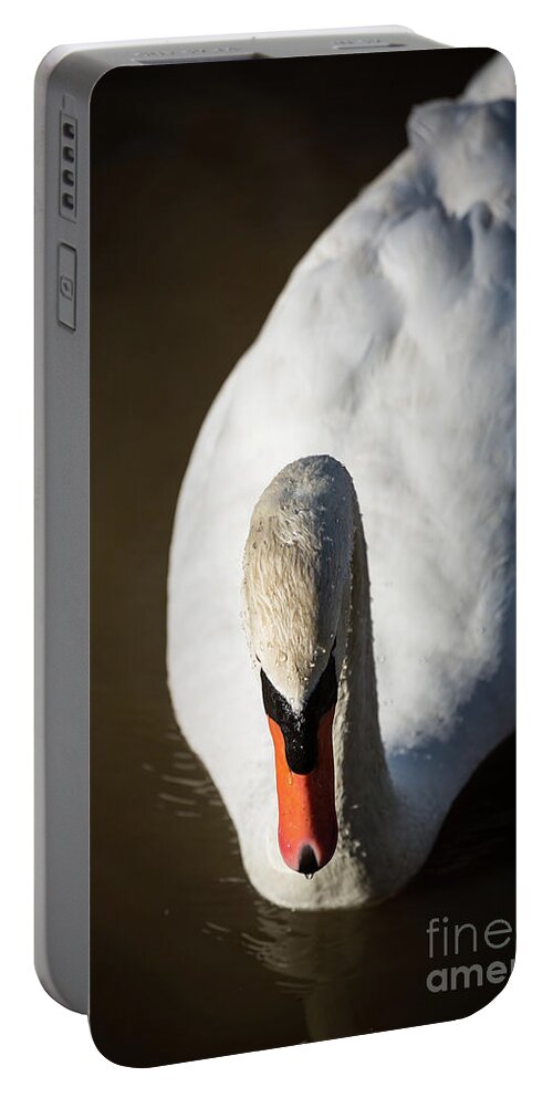 Swan Portable Battery Charger featuring the photograph Grace by Kathy Strauss
