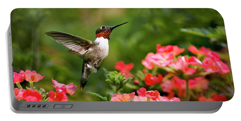 Hummingbird Portable Battery Charger featuring the photograph Graceful Garden Jewel by Christina Rollo