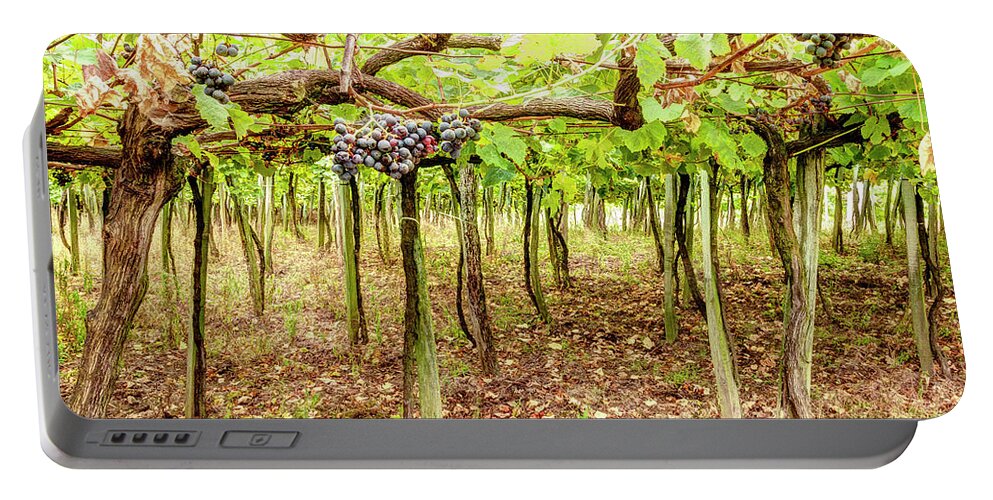 Grape Portable Battery Charger featuring the photograph Grapes on a Vineyard by Weston Westmoreland