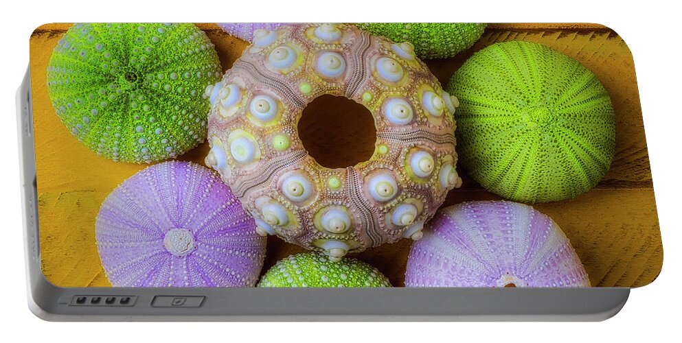 Shell Portable Battery Charger featuring the photograph Graphic Sea Urchins by Garry Gay