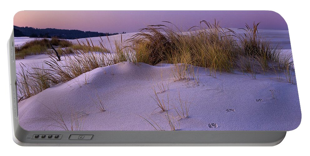 Cold Portable Battery Charger featuring the photograph Grass and Frost at Dawn by Robert Potts