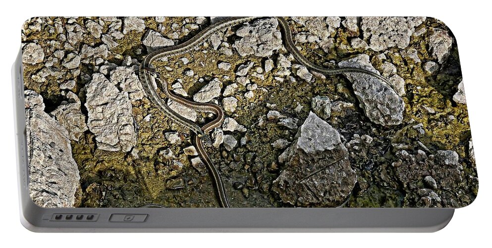 Grass Snakes Portable Battery Charger featuring the photograph Grass snakes on rocks by Martin Smith