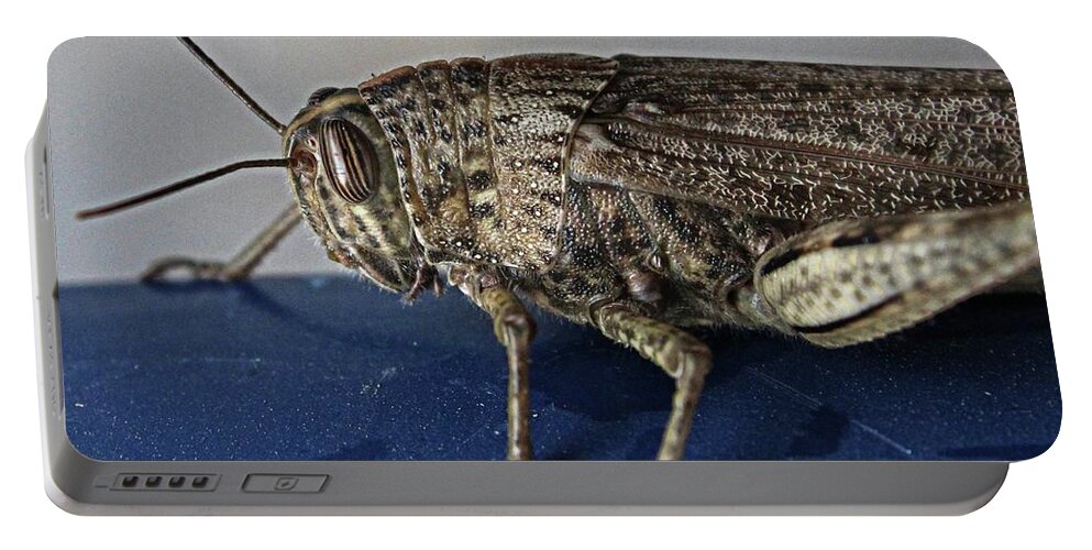 Grasshopper Portable Battery Charger featuring the photograph Grasshopper macro by Martin Smith