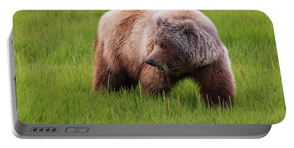 Alaska Portable Battery Charger featuring the photograph Grazing by Chad Dutson