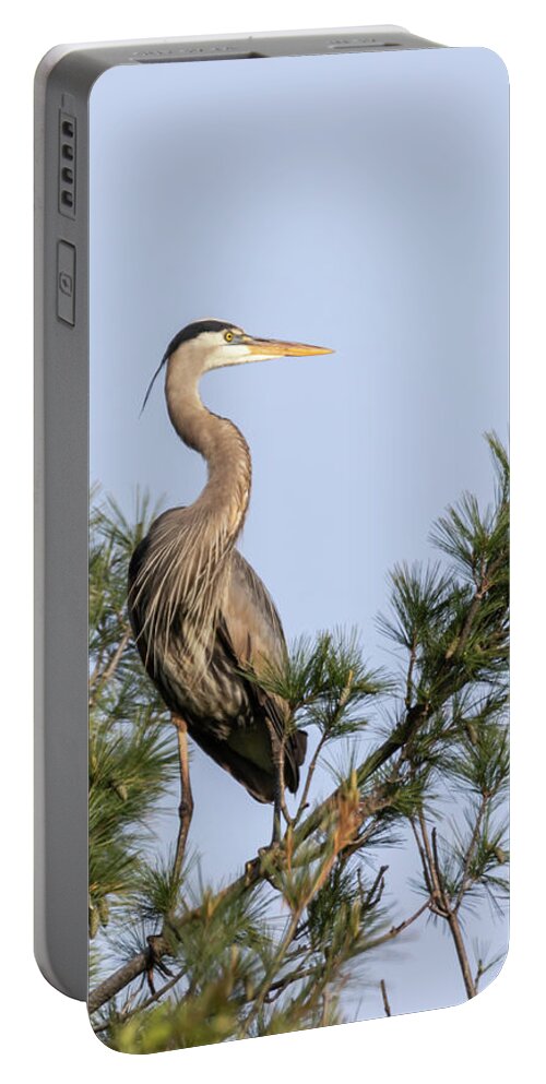 Great Blue Heron Portable Battery Charger featuring the photograph Great Blue Heron 2019-13 by Thomas Young