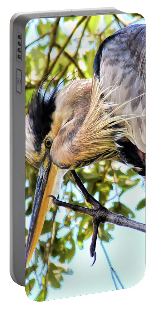 Great Blue Heron Portable Battery Charger featuring the photograph Great Blue Heron Close Up by Kerri Farley