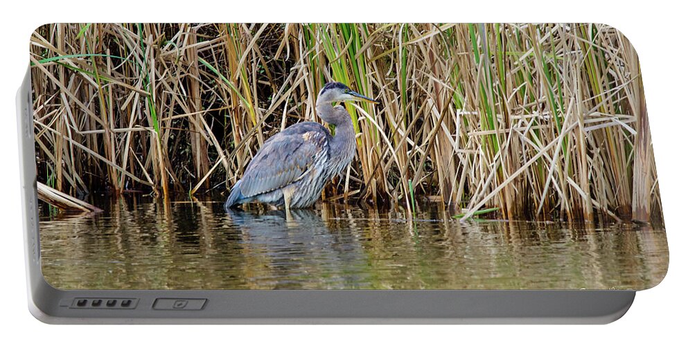 Bird Portable Battery Charger featuring the photograph Great Blue Heron Six by Shawn M Greener