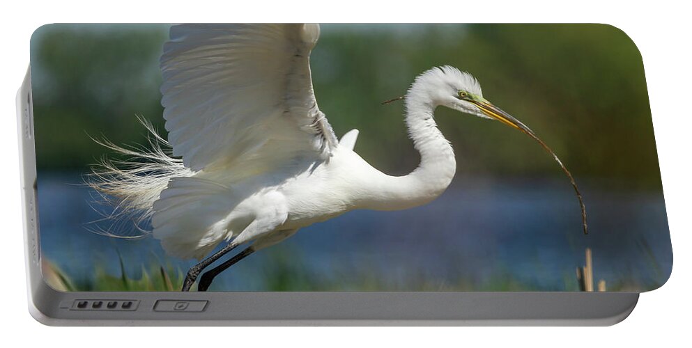Great Egret Portable Battery Charger featuring the photograph Great Egret 2014-1 by Thomas Young