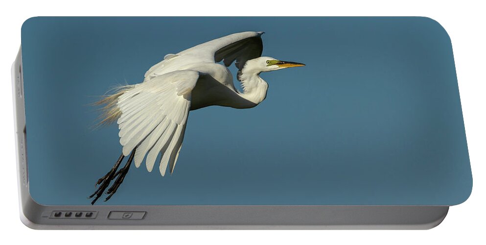 Great Egret Portable Battery Charger featuring the photograph Great Egret 2014-8 by Thomas Young