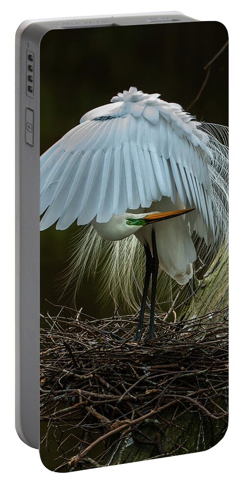 Nature Portable Battery Charger featuring the photograph Great Egret Beauty by Donald Brown