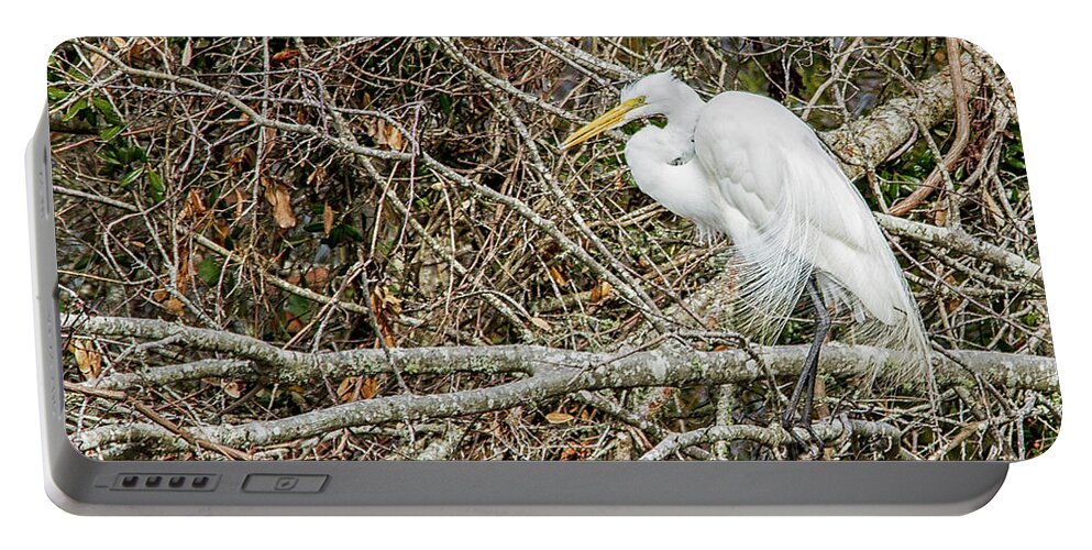 Egret Portable Battery Charger featuring the photograph Great Egret by Bob Decker