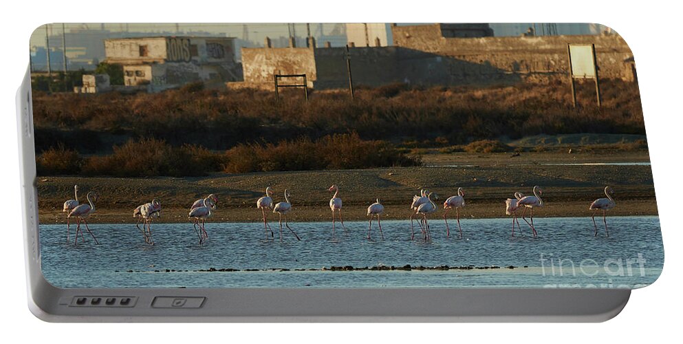 Flamingo Portable Battery Charger featuring the photograph Greater Flamingo at Arillo River by Pablo Avanzini