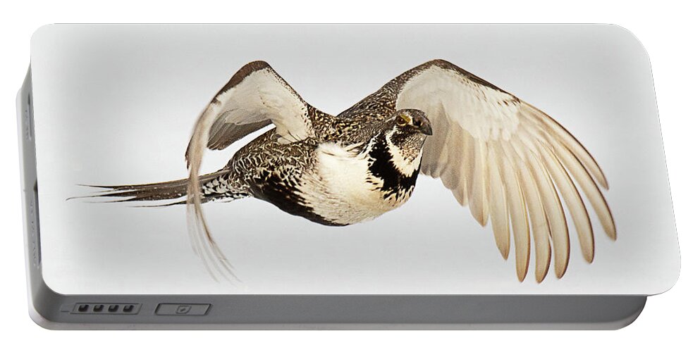 Bird Portable Battery Charger featuring the photograph Greater Sage Grouse on the Wing by Dennis Hammer