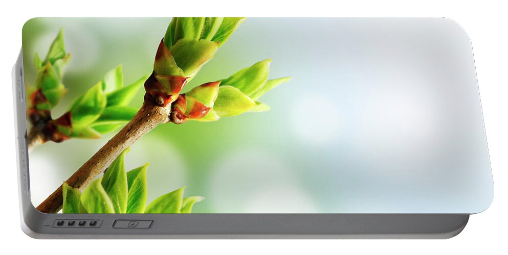 April Portable Battery Charger featuring the photograph Green Bud by Jelena Jovanovic