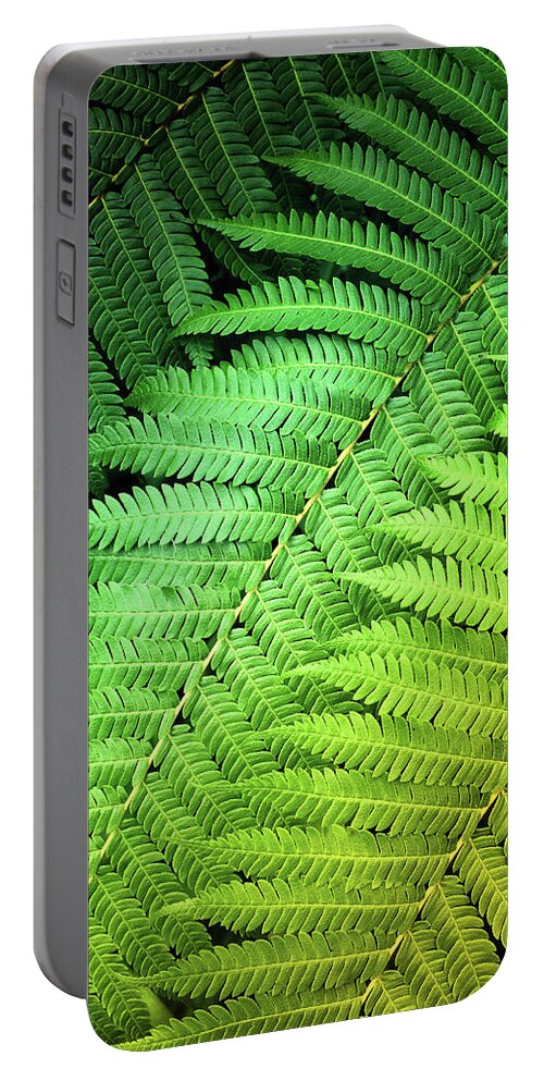 Green Plants Portable Battery Charger featuring the photograph Green Fern Closeup by Carlos Caetano