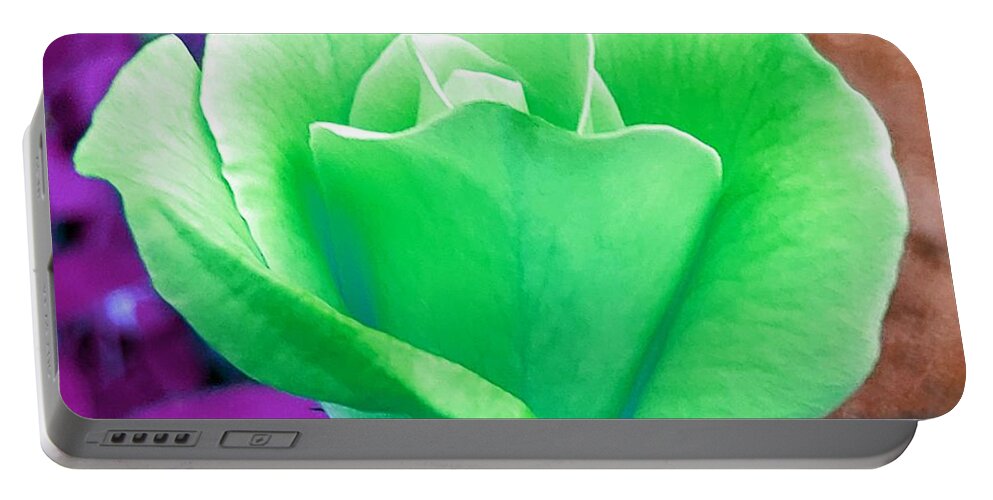 Rose Portable Battery Charger featuring the photograph Green Lime Rose by Chad and Stacey Hall