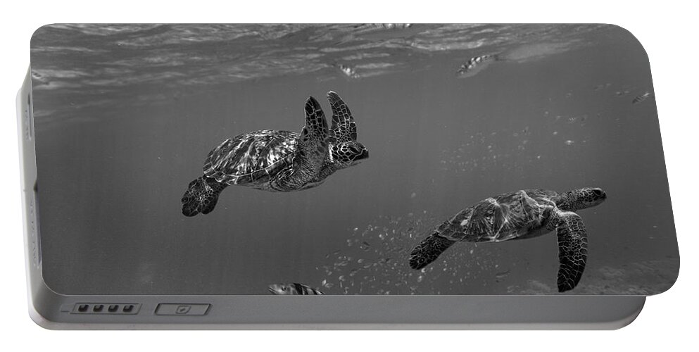 Disk1215 Portable Battery Charger featuring the photograph Green Sea Turtles Philippines by Tim Fitzharris