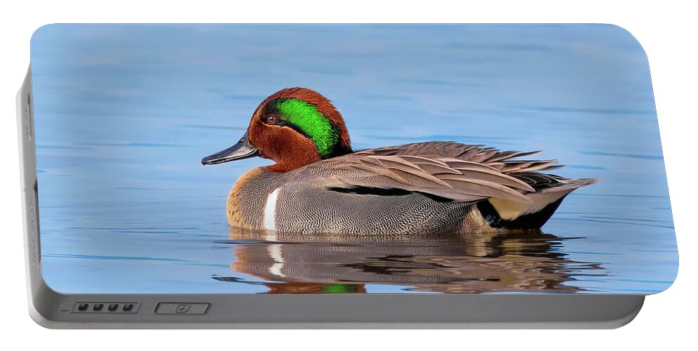 Green-winged Teal Portable Battery Charger featuring the photograph Green-winged Teal on the Pond by Kathleen Bishop