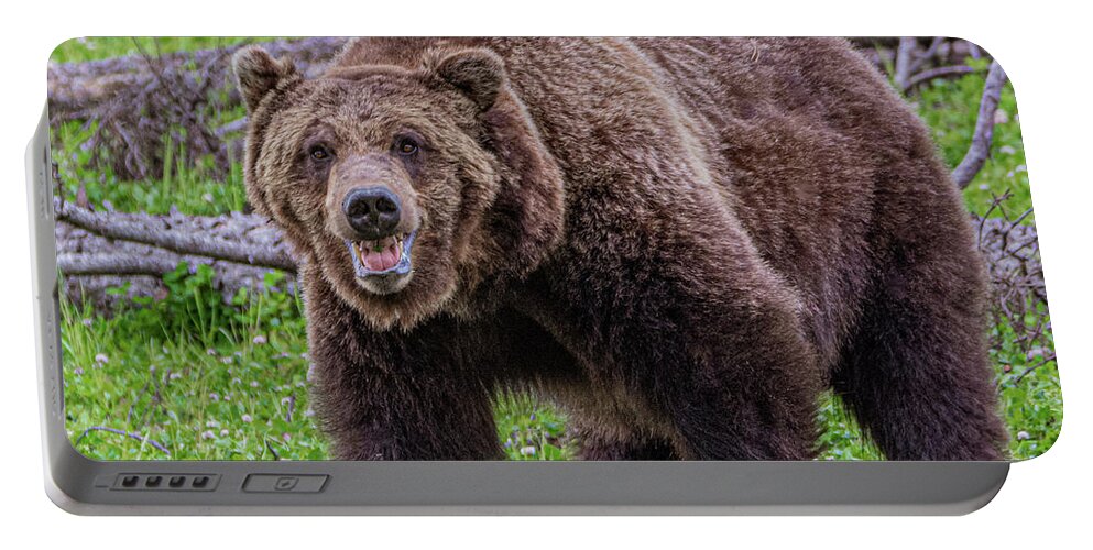 Grizzly Portable Battery Charger featuring the photograph Grizzly Growl by Douglas Wielfaert
