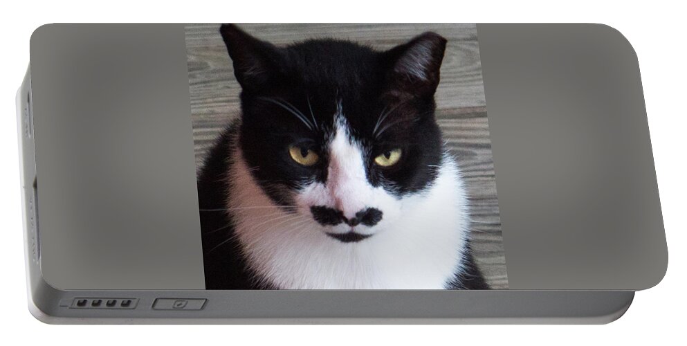 Cat Portable Battery Charger featuring the photograph Groucho by Ivars Vilums