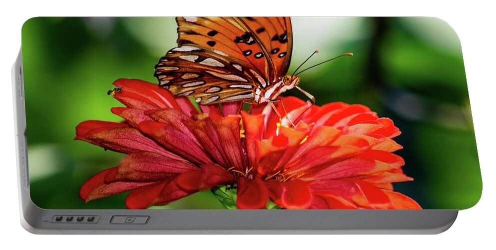 Gulf Fritillary Butterfly Portable Battery Charger featuring the photograph Gulf Fritillary on Red Zinnia by Mary Ann Artz