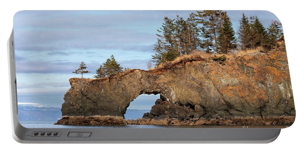 Halibut Cove Portable Battery Charger featuring the photograph Halibut Cove rock formation Kenai Peninsula Alaska by Louise Heusinkveld