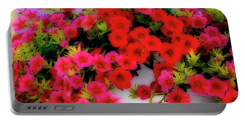 Canada Portable Battery Charger featuring the photograph Hanging Flowers by Lenore Locken