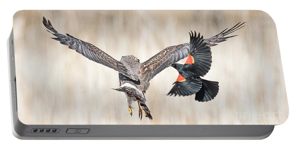 Bird Portable Battery Charger featuring the photograph Harassment by Dennis Hammer
