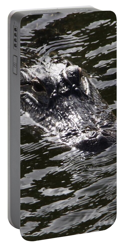 Heads Portable Battery Charger featuring the photograph Heads Up Gator Before The Storm by Philip And Robbie Bracco