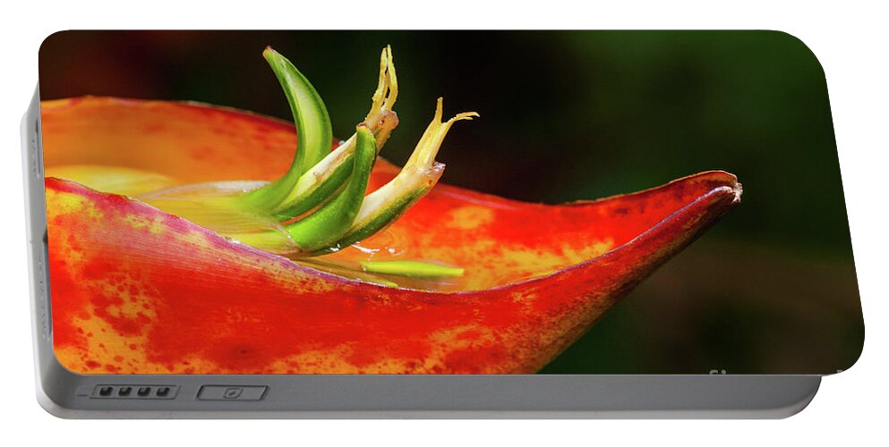 Big Island Portable Battery Charger featuring the photograph Heliconia by Al Andersen
