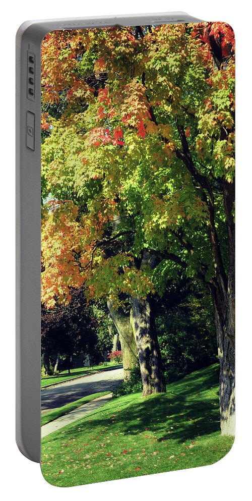 Her Beautiful Path Home Portable Battery Charger featuring the photograph Her Beautiful Path Home by Cyryn Fyrcyd