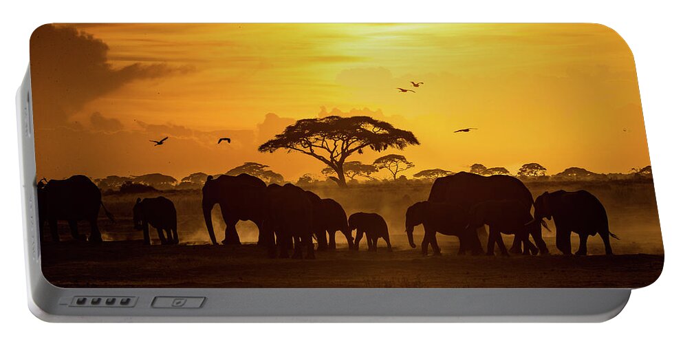 Elephant Portable Battery Charger featuring the photograph Sunset in Amboseli by Good Focused