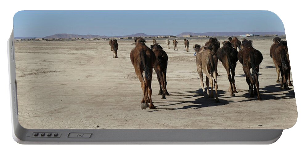 Morocco Portable Battery Charger featuring the photograph Herd of camels crossing the highway near Rissani by Steve Estvanik