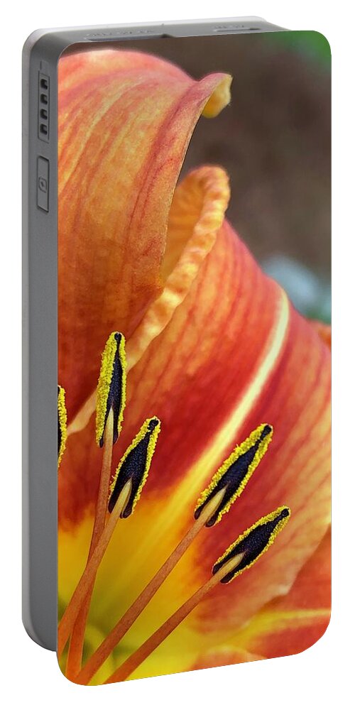 Orange Portable Battery Charger featuring the digital art Here Comes the Sun by Cindy Greenstein