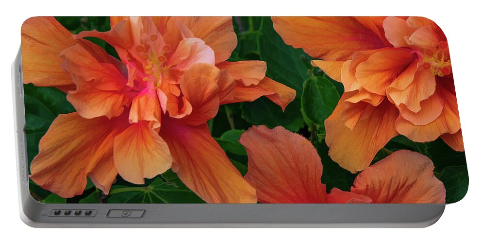 Hawaii Portable Battery Charger featuring the photograph Hibiscus Tripcus Orangus by G Lamar Yancy