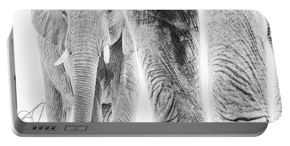 Elephant Portable Battery Charger featuring the photograph High key African Elephants by Mark Hunter