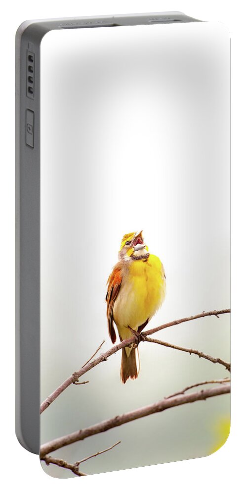 Nature Portable Battery Charger featuring the photograph High Key Dickcissel by Jeff Phillippi
