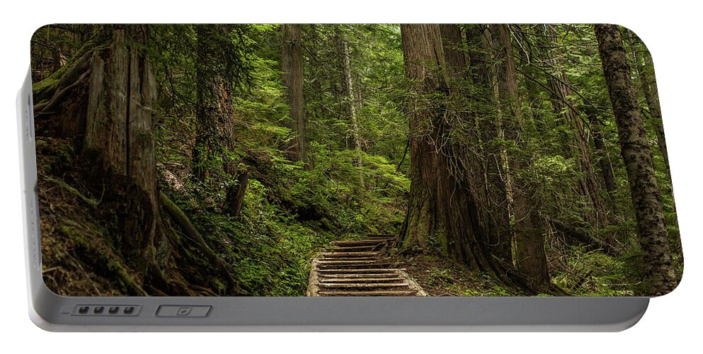 Hiking Trail Portable Battery Charger featuring the photograph Hiking in Mt. Rainier, Washington by Julieta Belmont