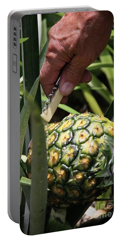 Home Portable Battery Charger featuring the photograph Home Grown Hawaiian Gold Pineapple by Philip And Robbie Bracco