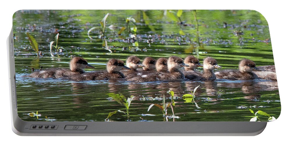 Nature Portable Battery Charger featuring the photograph Hooded Merganser Ducklings DWF0203 by Gerry Gantt