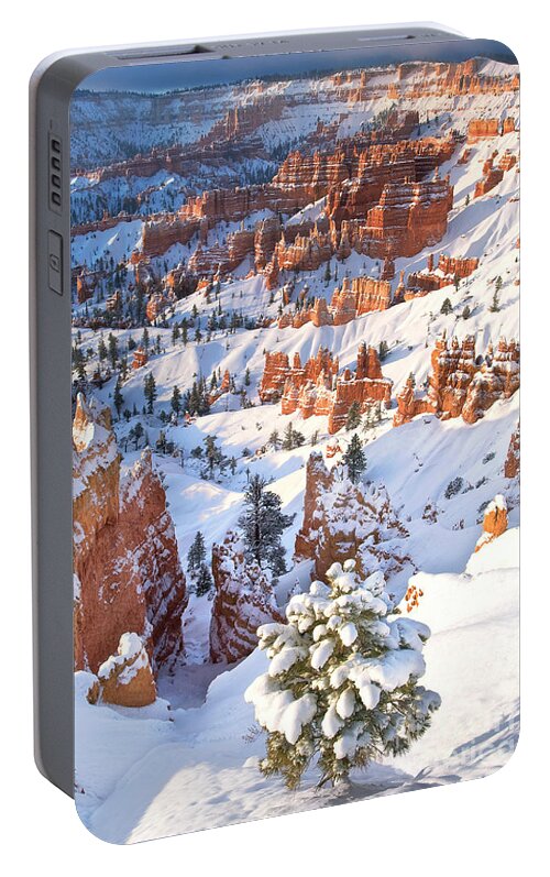 North America Portable Battery Charger featuring the photograph Hoodoos and Fir Tree in Winter Bryce Canyon NP Utah by Dave Welling
